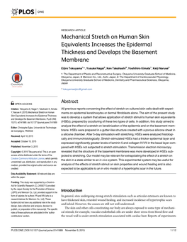 Mechanical Stretch on Human Skin Equivalents Increases the Epidermal Thickness and Develops the Basement Membrane