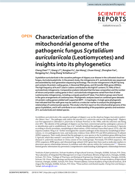 Characterization of the Mitochondrial Genome of the Pathogenic Fungus Scytalidium Auriculariicola (Leotiomycetes) and Insights I
