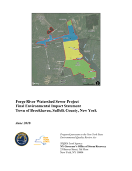 Forge River Final Environmental Impact Statement