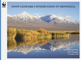 Snow Leopard Conservation in Mongolia