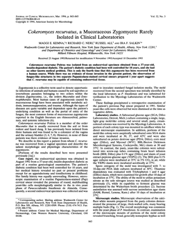 Cokeromyces Recurvatus, a Mucoraceous Zygomycete Rarely Isolated in Clinical Laboratories MAGGI E