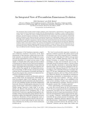 An Integrated View of Precambrian Eumetazoan Evolution