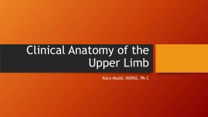 Clinical Anatomy of the Upper Limb