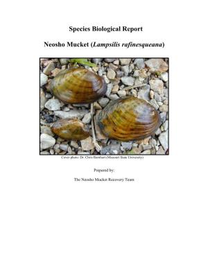 Species Biological Report Neosho Mucket (Lampsilis Rafinesqueana)