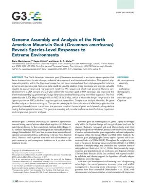 Genome Assembly and Analysis of the North American Mountain Goat (Oreamnos Americanus) Reveals Species-Level Responses to Extreme Environments