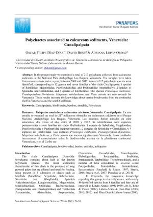 Polychaetes Associated to Calcareous Sediments, Venezuela: Canalipalpata