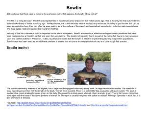 Bowfin DNR Information