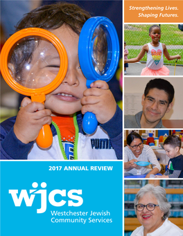 WJCS Annual Review 2017