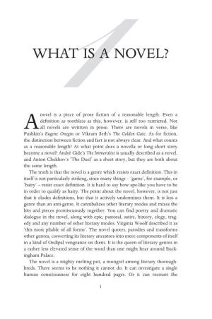 1What Is a Novel?