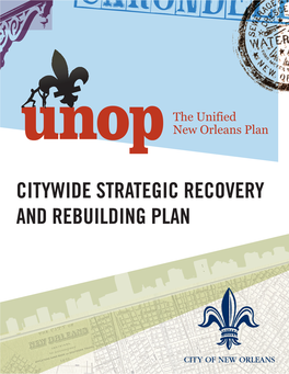 Citywide Strategic Recovery and Rebuilding Plan