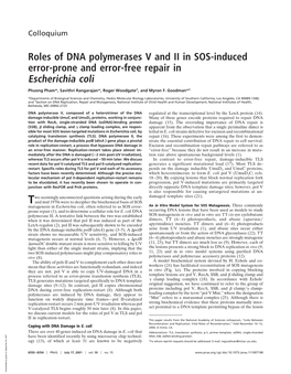Roles of DNA Polymerases V and II in SOS-Induced Error-Prone and Error-Free Repair in Escherichia Coli