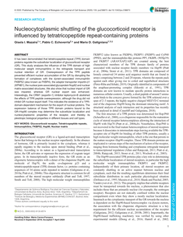 Nucleocytoplasmic Shuttling of the Glucocorticoid Receptor Is Influenced by Tetratricopeptide Repeat-Containing Proteins Gisela I