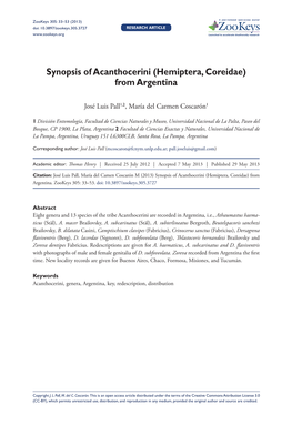 Synopsis of Acanthocerini (Hemiptera, Coreidae) from Argentina