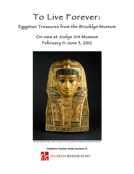 To Live Forever: Egyptian Treasures from the Brooklyn Museum