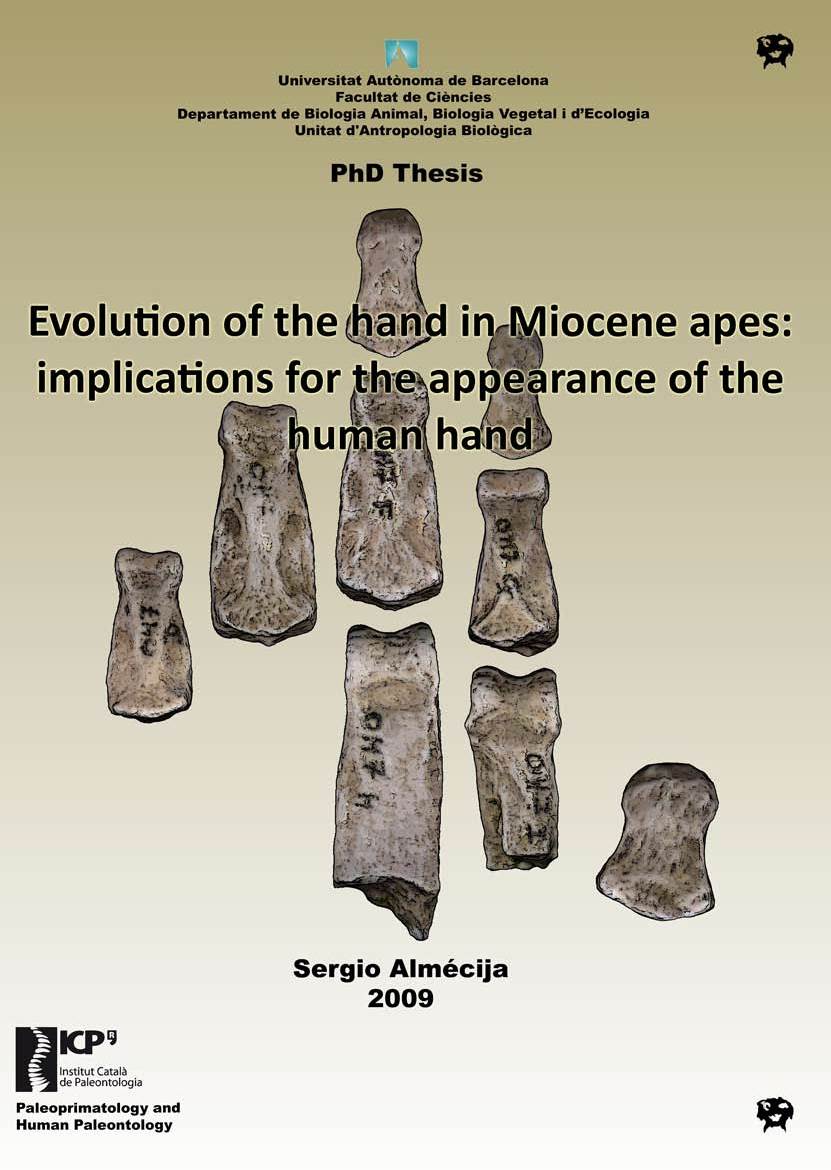 Evolution of the Hand in Miocene Apes: Implications for the Appearance of the Human Hand