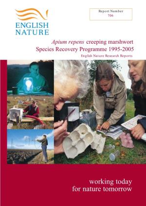 Apium Repens Creeping Marshwort Species Recovery Programme 1995-2005 English Nature Research Reports