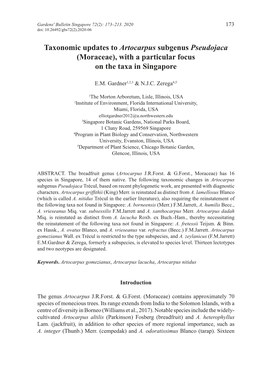 Taxonomic Updates to Artocarpus Subgenus Pseudojaca (Moraceae), with a Particular Focus on the Taxa in Singapore