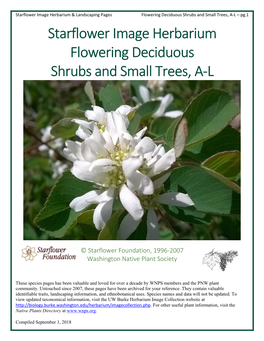 Starflower Image Herbarium Flowering Deciduous Shrubs and Small Trees, A-L