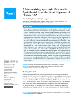 Mammalia: Apatotheria) from the Latest Oligocene of Florida, USA