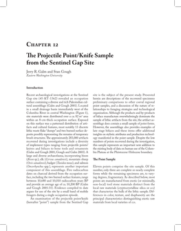 Chapter 12 the Projectile Point/Knife Sample from the Sentinel Gap Site