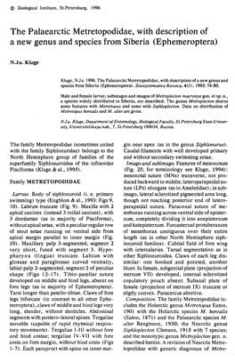 The Palaearctic Metretopodidae, with Description of a New Genus and Species from Siberia (Ephemeroptera)