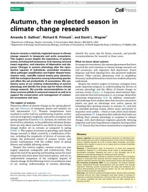 Autumn, the Neglected Season in Climate Change Research
