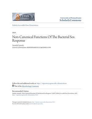 Non-Canonical Functions of the Bacterial Sos Response