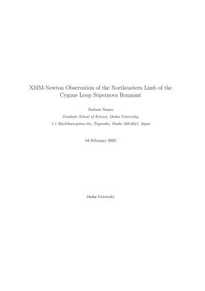 XMM-Newton Observation of the Northeastern Limb of the Cygnus Loop Supernova Remnant