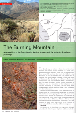 The Burning Mountain an Expedition to the Brandberg in Namibia in Search of the Endemic Brandberg Plumbago