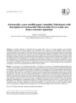 With Description of Aristonerilla (Micronerilla) Brevis Comb. Nov. from a Seawater Aquarium