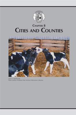 Chapter 8 Cities and Counties
