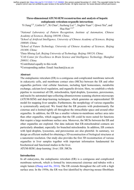 Three-Dimensional ATUM-SEM Reconstruction and Analysis Of