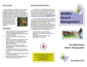 Wildlife Hazard Management