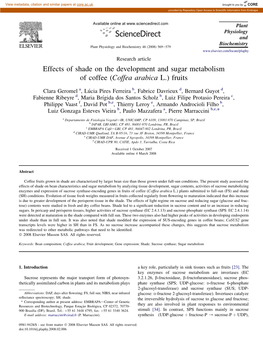 Effects of Shade on the Development and Sugar Metabolism of Coffee (Coffea Arabica L.) Fruits