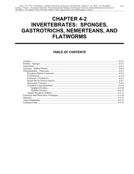Sponges, Gastrotrichs, Nemerteans, and Flatworms