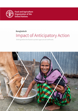Bangladesh – Impact of Anticipatory Action