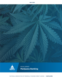 Marijuana Banking Issue Brief