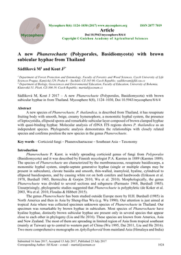 A New Phanerochaete (Polyporales, Basidiomycota) with Brown Subicular Hyphae from Thailand