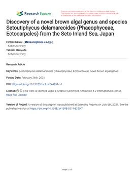 Discovery of a Novel Brown Algal Genus and Species Setoutiphycus Delamareoides (Phaeophyceae, Ectocarpales) from the Seto Inland Sea, Japan