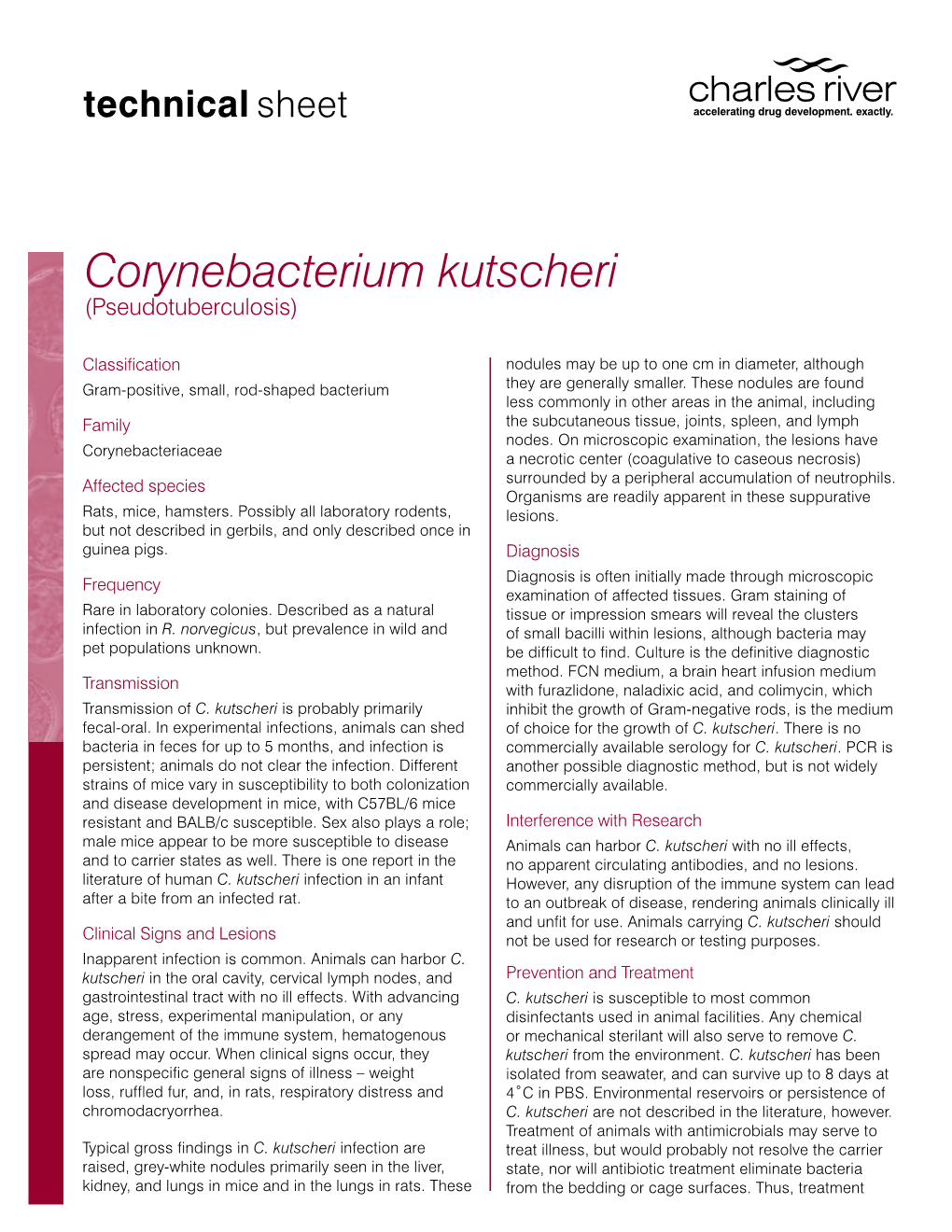 Corynebacterium Kutscheri (Pseudotuberculosis)