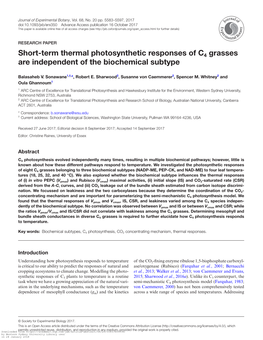 Short-Term Thermal Photosynthetic Responses of C4 Grasses Are Independent of the Biochemical Subtype