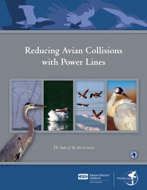 Reducing Avian Collisions with Power Lines
