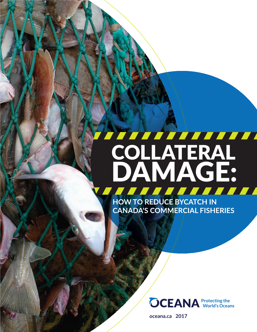 OCEANA Bycatch Summary V4.Indd