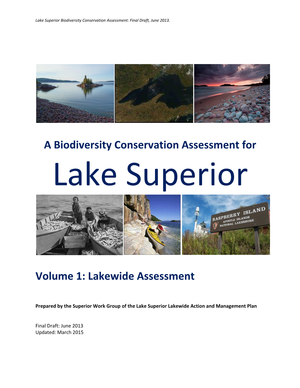 Lake Superior Biodiversity Conservation Assessment: Final Draft, June 2013