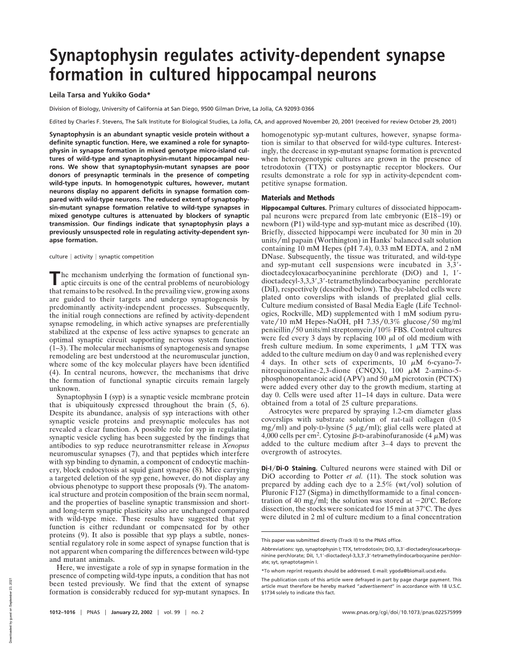 Synaptophysin Regulates Activity-Dependent Synapse Formation in Cultured Hippocampal Neurons