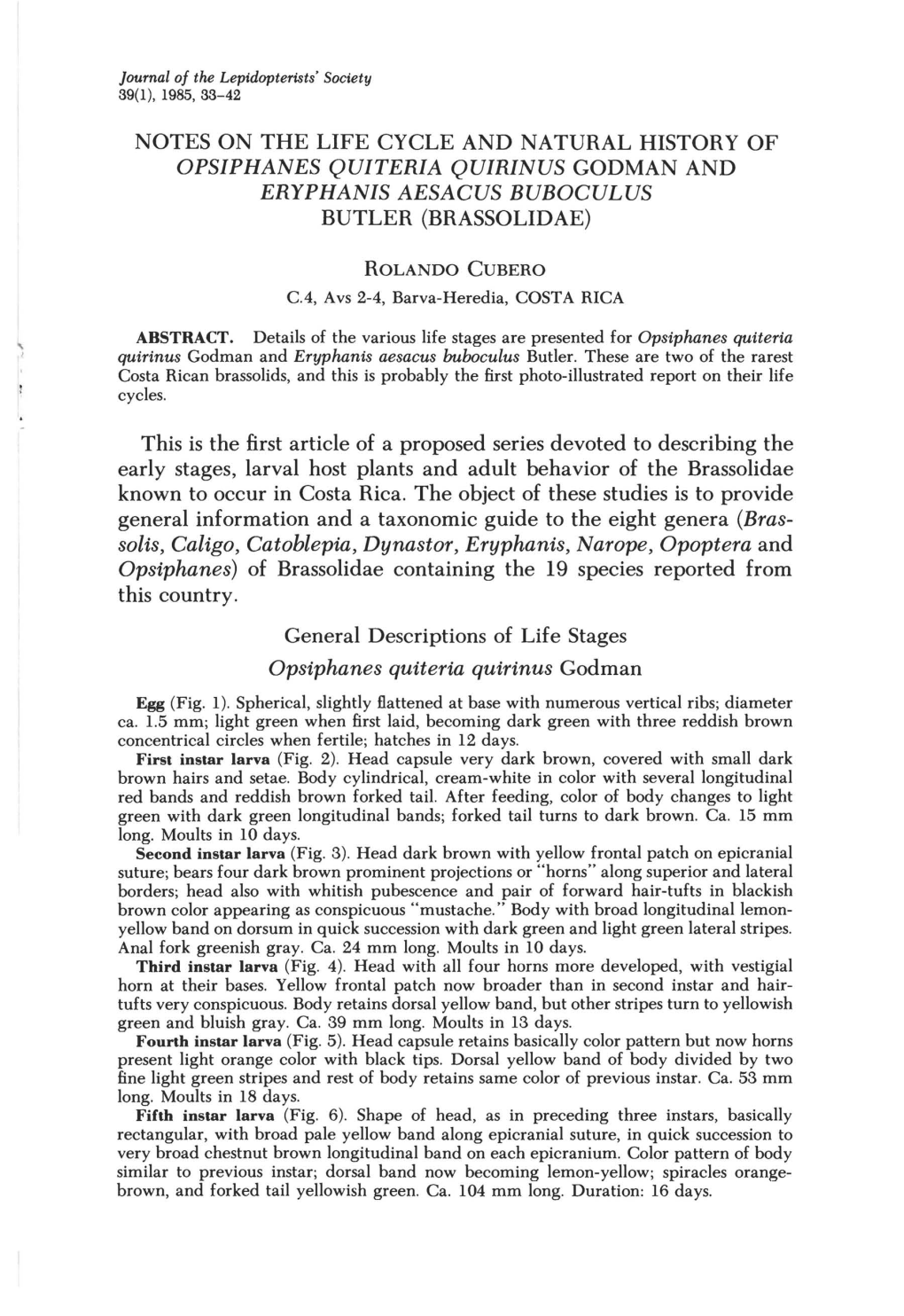 Notes on the Life Cycle and Natural History of Opsiphanes Quiteria Quirinus Godman and Eryphanis Aesacus Buboculus Butler (Brassolidae)