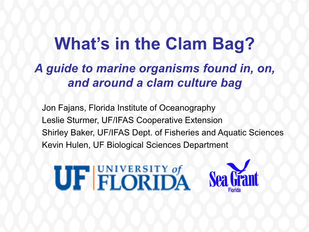 What's in the Clam Bag?