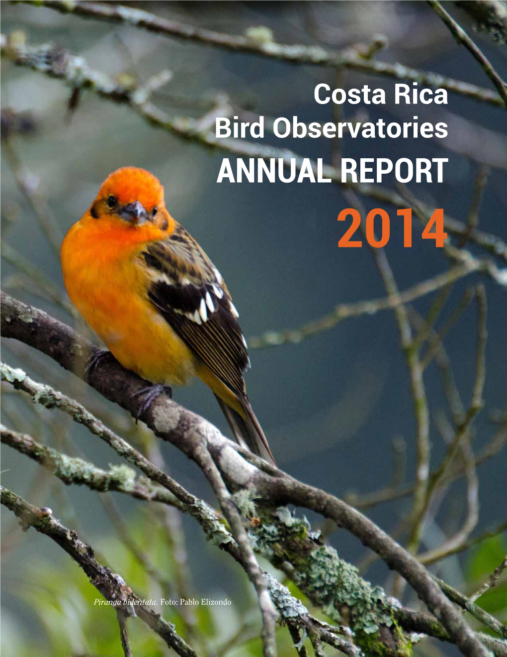 Annual Report 2014