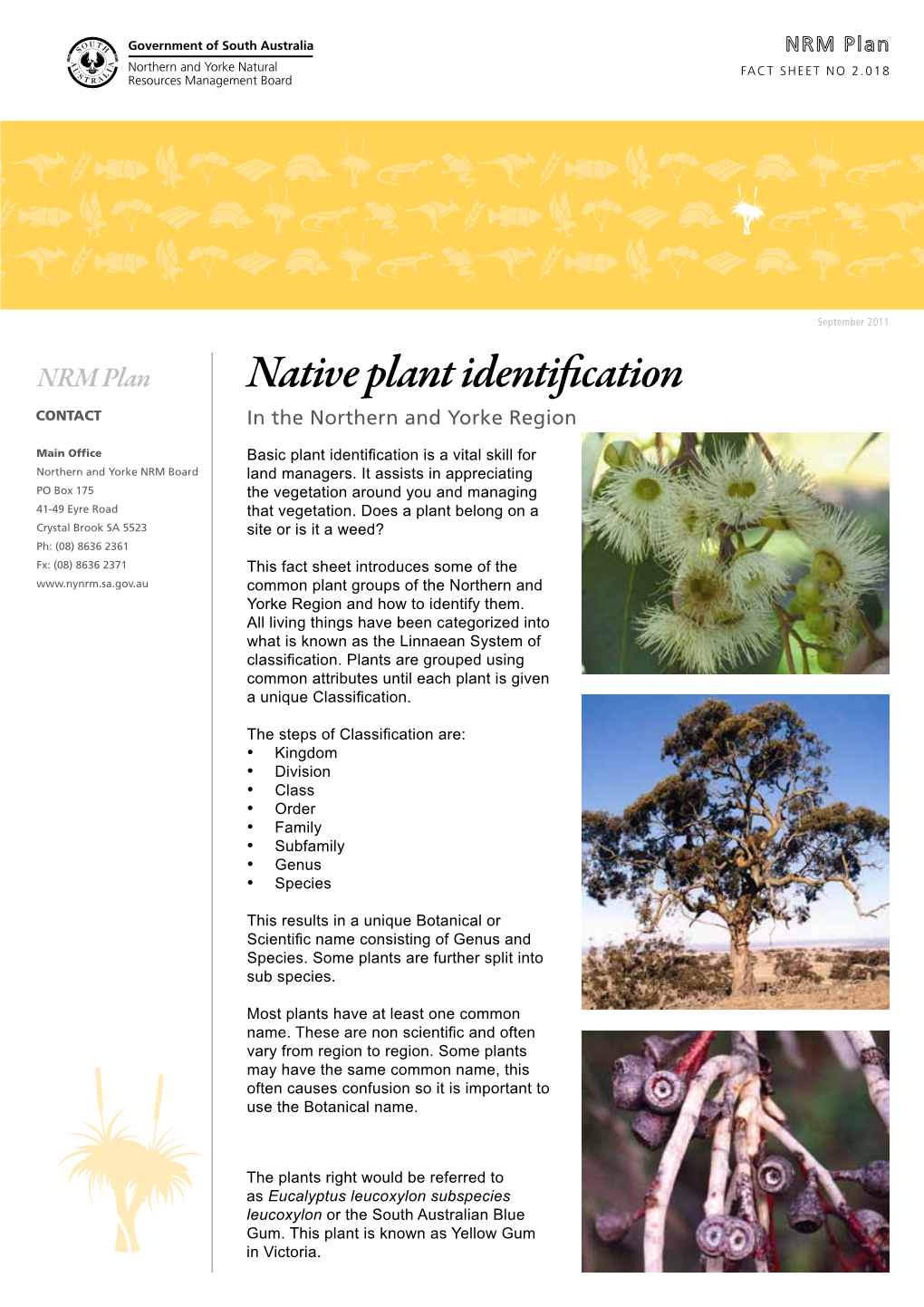 Native Plant Identification CONTACT in the Northern and Yorke Region