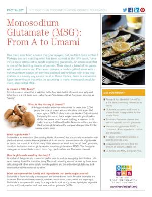 Monosodium Glutamate (MSG): from a to Umami
